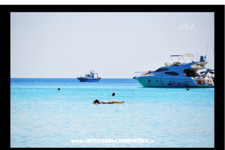 Apartmaji  Zaglav Dugi otok  – foto 12