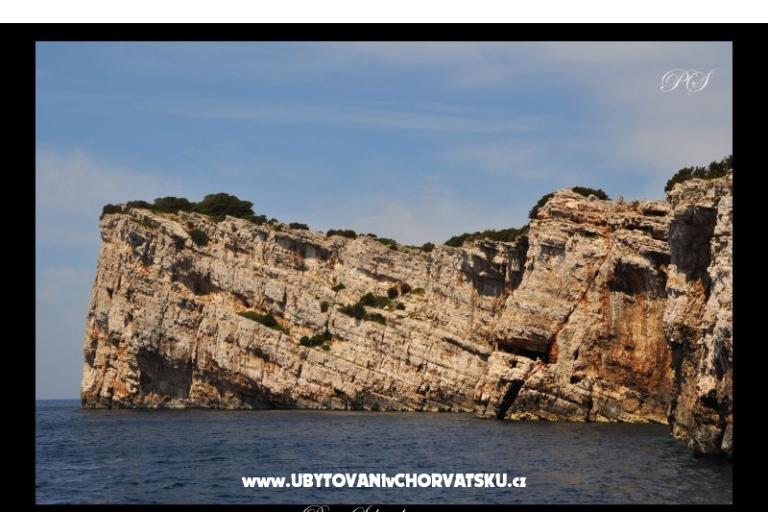 Apartmaji  Zaglav Dugi otok  – foto 15