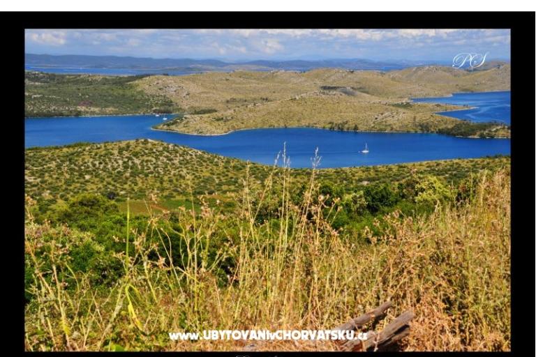 Apartmaji  Zaglav Dugi otok  – foto 17