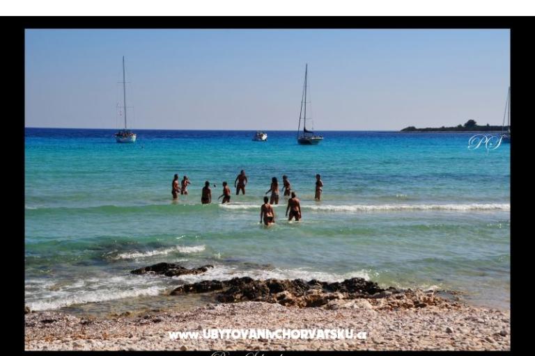 Apartmaji  Zaglav Dugi otok  – foto 9