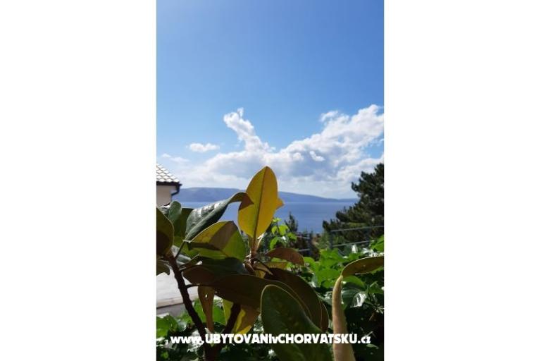 Apartmaji  MaDi  – foto 8