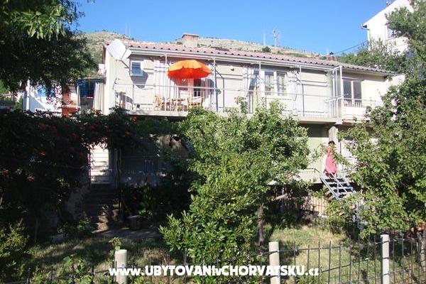 VIOLA – foto 2