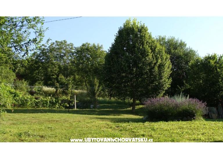 Počitniški dom Biserka – foto 7