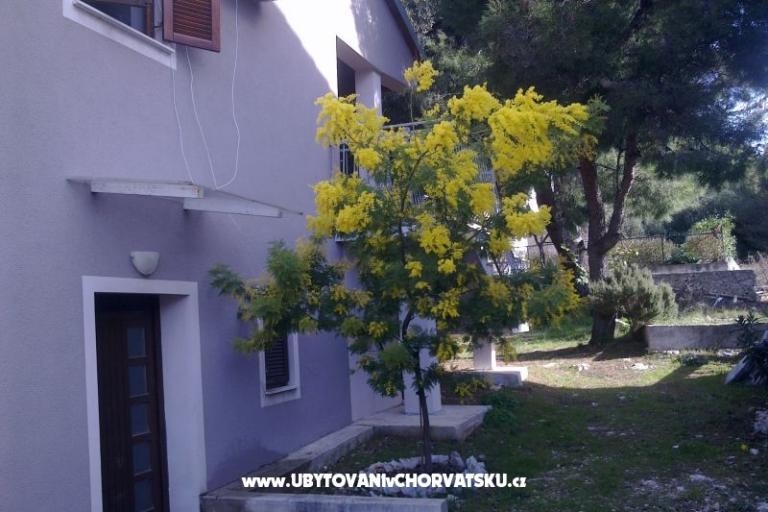 Apartma Katarina – foto 8