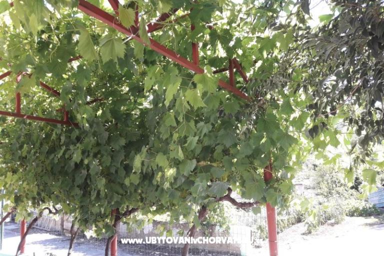 Apartma Stara kuća  – foto 3