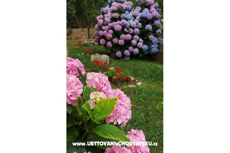 Apartma Tomić – foto 9