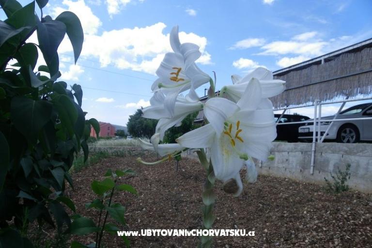 Apartmaji Ante-Gojko – foto 11