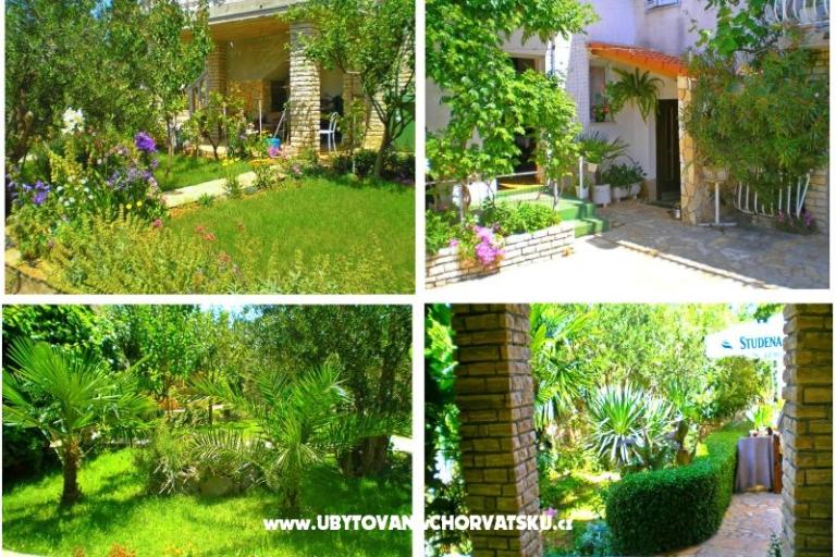 Apartmaji Antić – foto 14