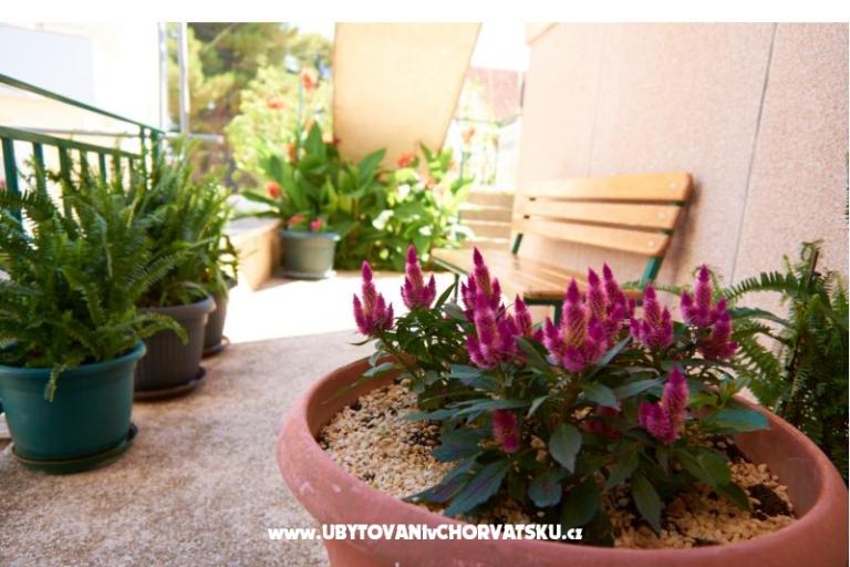 Apartmaji Baković – foto 7