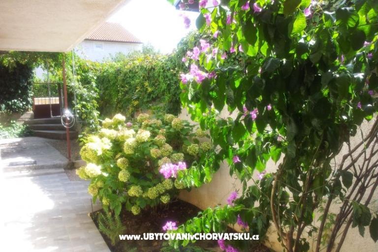 Apartmaji Baranovic – foto 18