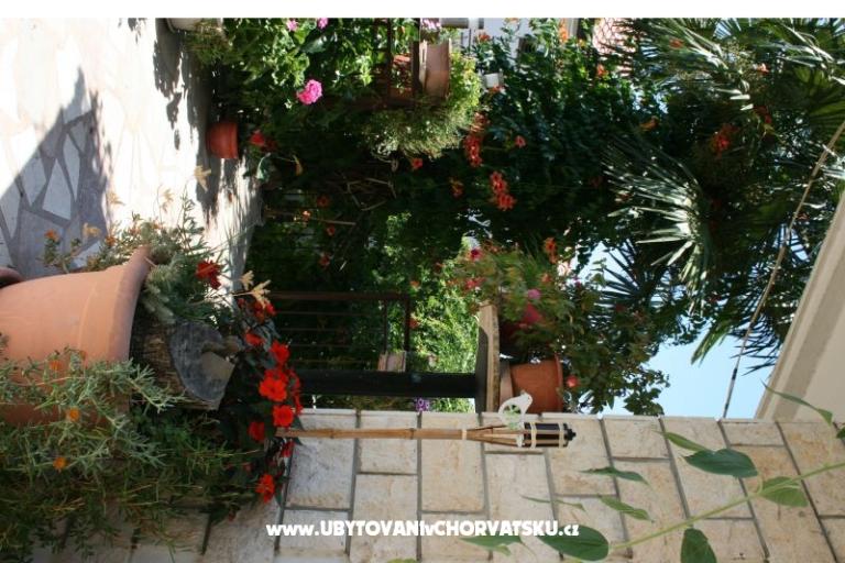 Apartmaji Gašperov – foto 10