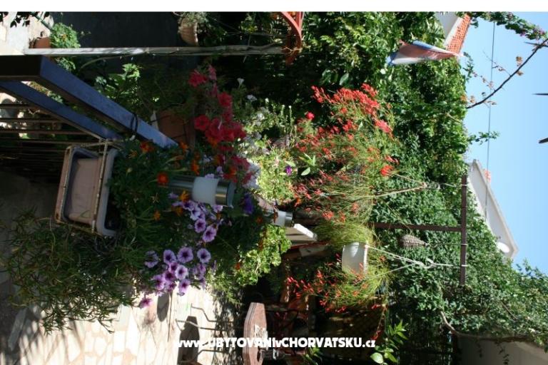 Apartmaji Gašperov – foto 12