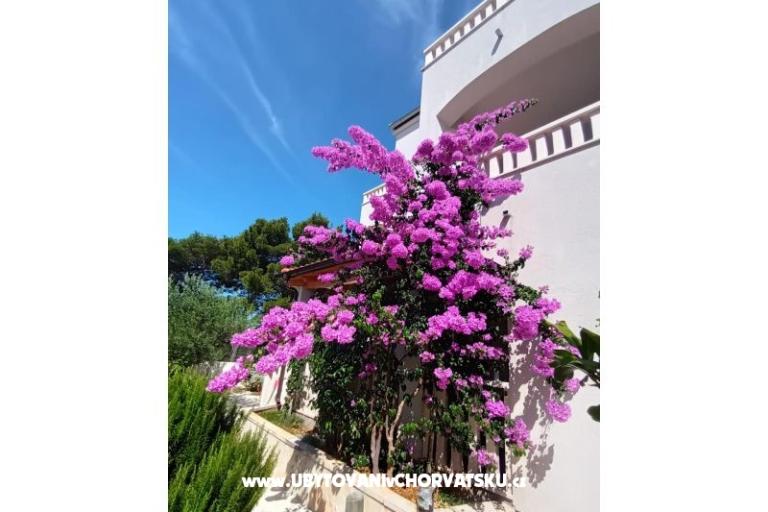 Apartmaji Pinea Sol – foto 3