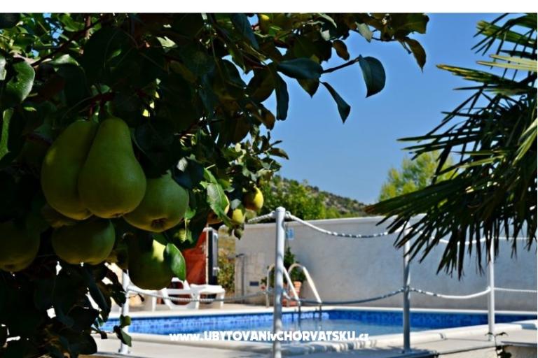 Apartmaji Villa RA – foto 9