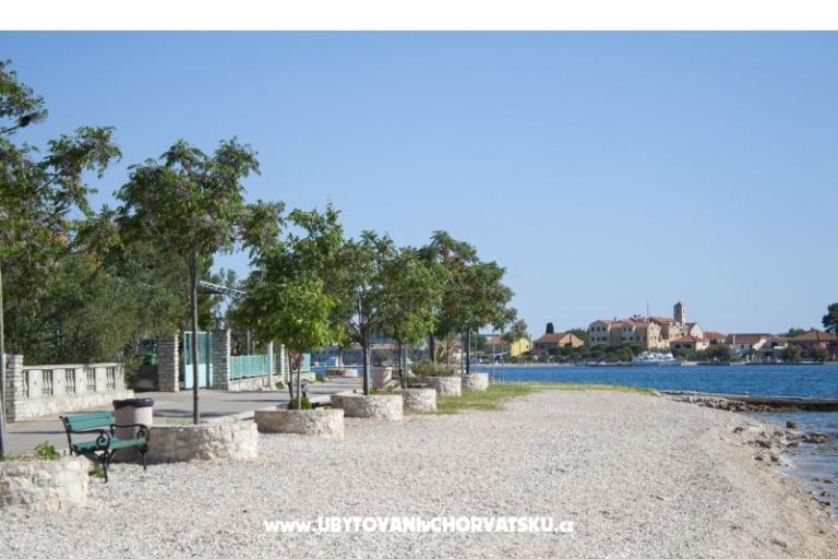 Apartmaji Soha – foto 4