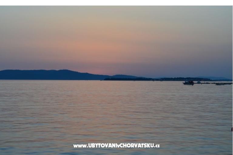 Apartmaji Stana Marković Žaborić – foto 7