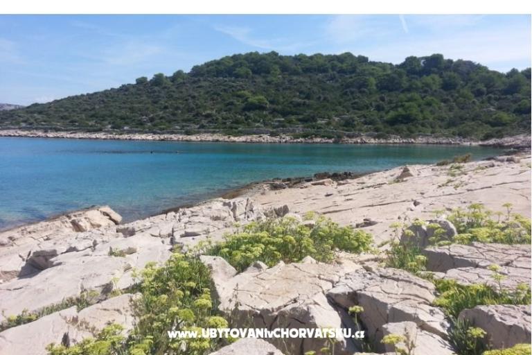Apartma Adriatic – foto 16