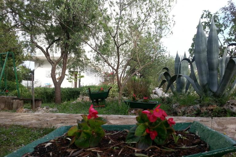 Apartmaji Vlado – foto 7