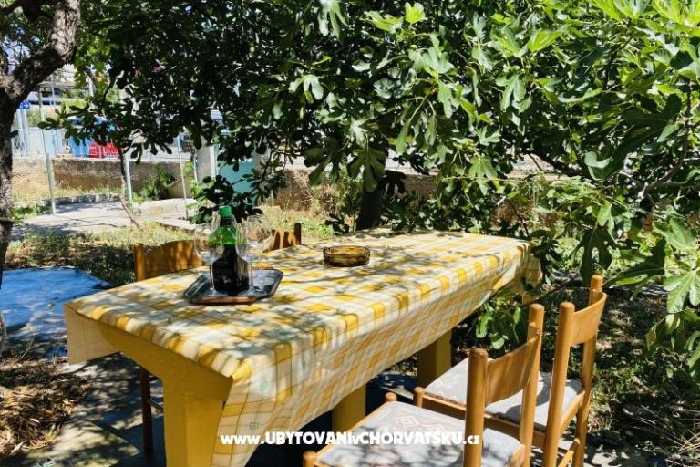 Beach Hiša – foto 7