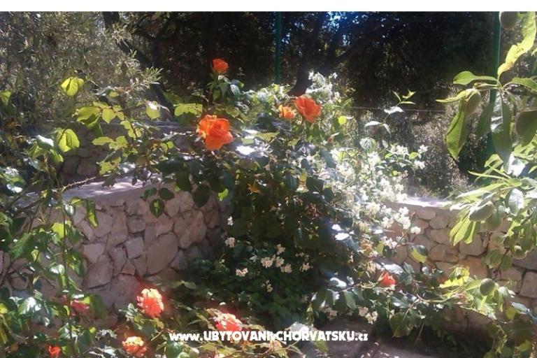 Lavanda Apartma – foto 17