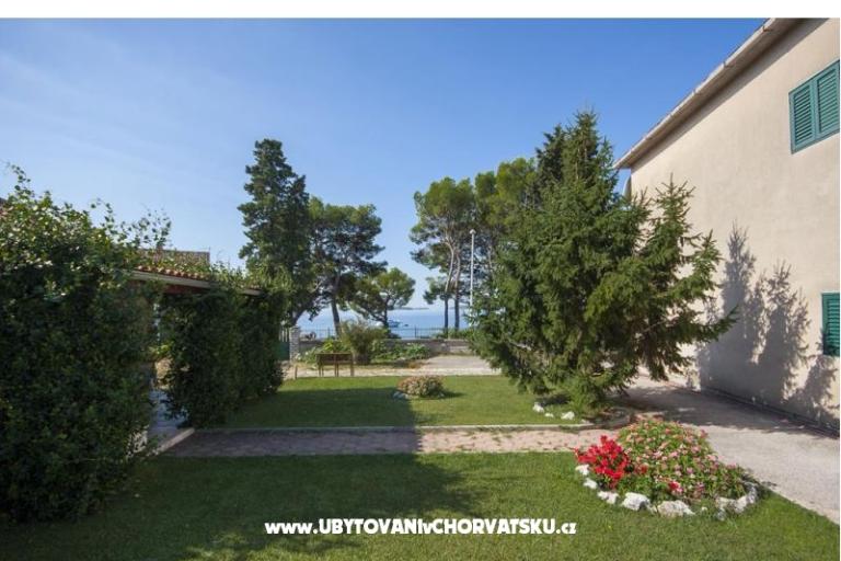 Venesa Apartmaji – foto 2