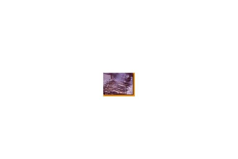 Apartmaji – foto 14
