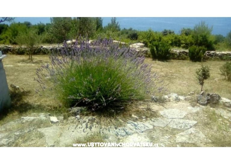 Apartmaji Villa Mare – foto 9