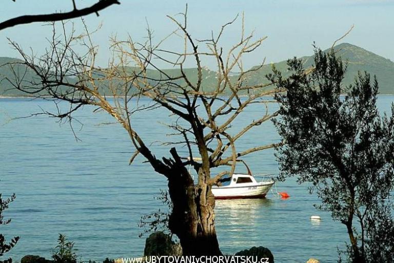 Kamp -Apartmaji-Sladenovici – foto 5
