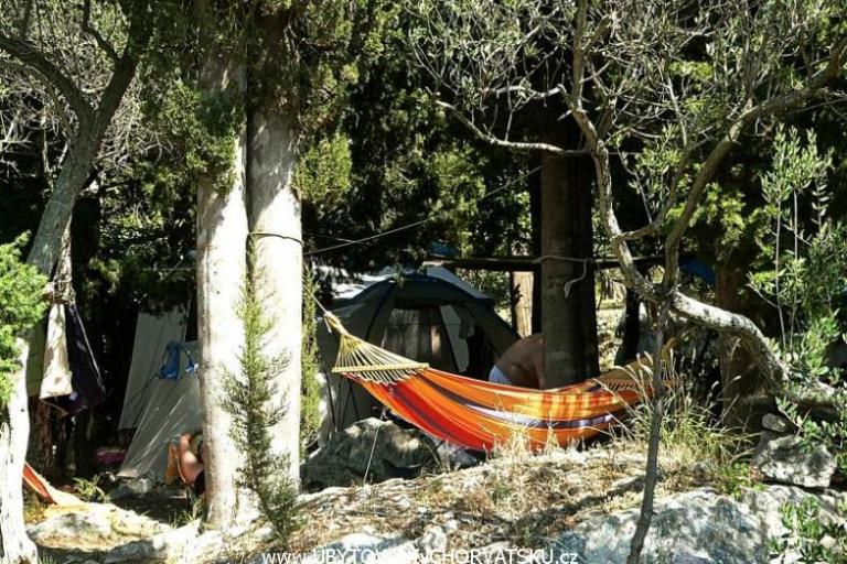 Kamp -Apartmaji-Sladenovici – foto 6
