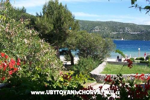 Apartmaji POLAČA - Slano – foto 9