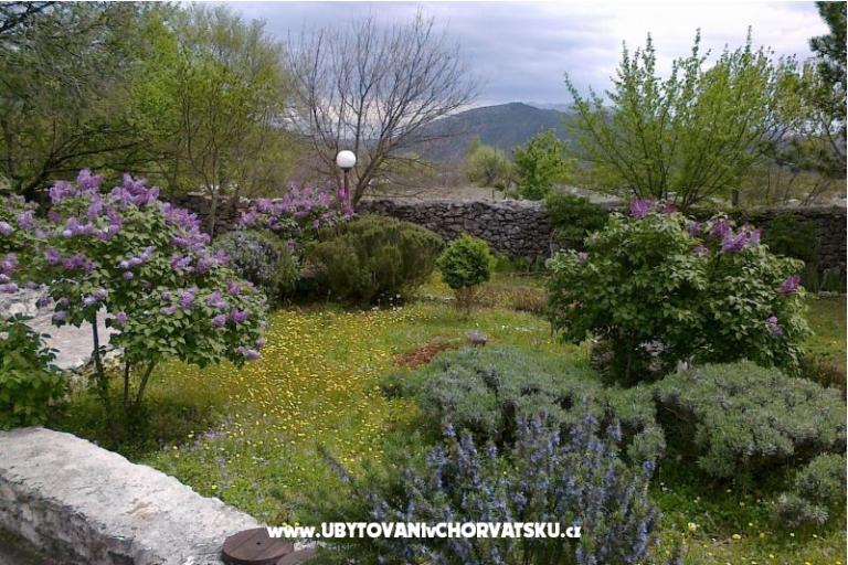 Počitniški dom Villa Ivo – foto 10