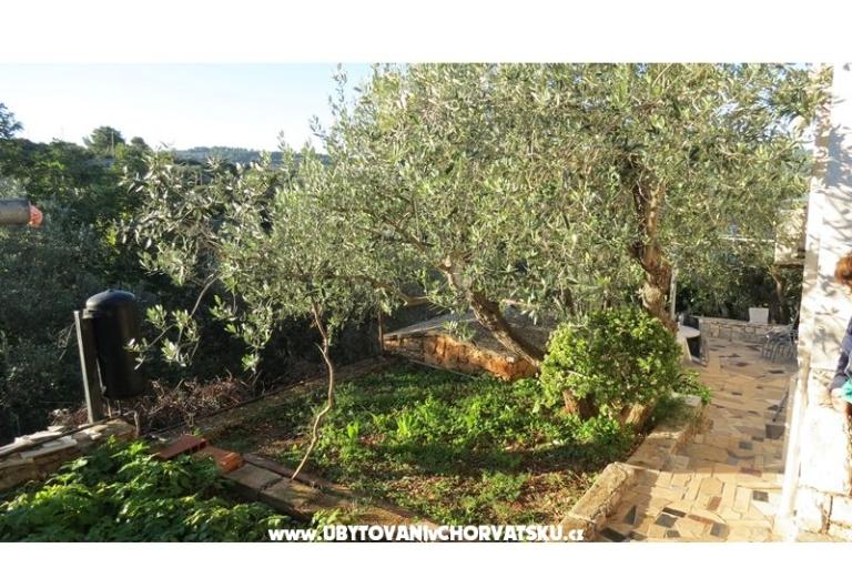 Apartmaji Janja – foto 6
