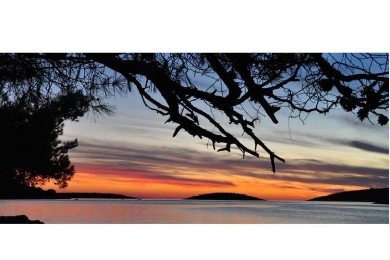 Apartmaji Oliva - Otok Šolta – foto 11