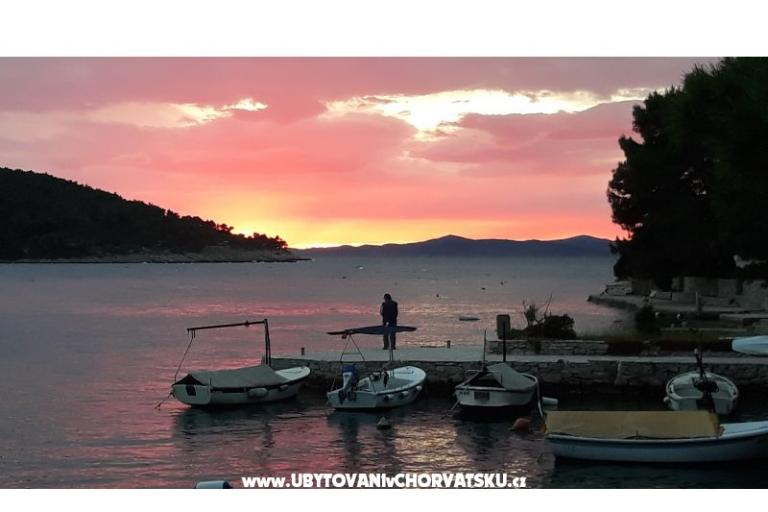Apartmaji Tiha – foto 6