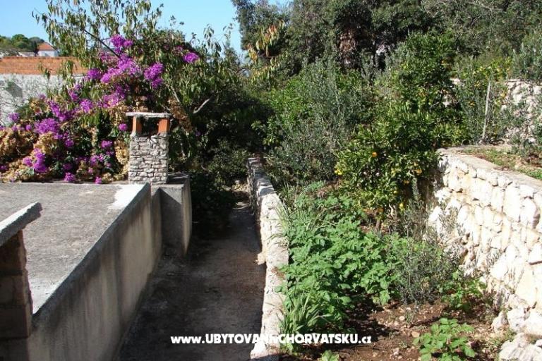 Apartma Terezija – foto 6