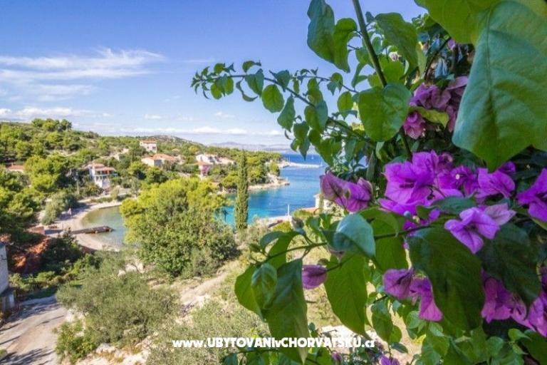 Apartmaji Solta – foto 15