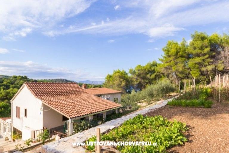 Apartmaji Solta – foto 16