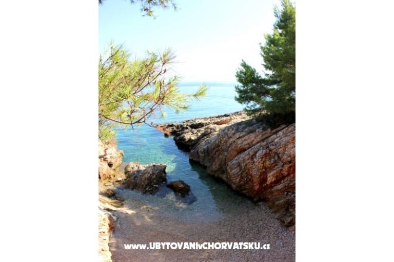 Počitniški dom Villa Ante – foto 14