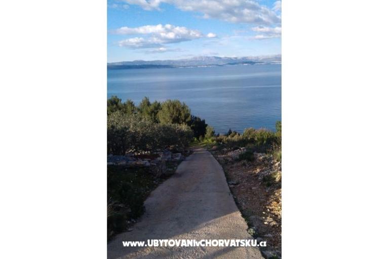 Počitniški dom Villa Marijeta – foto 7