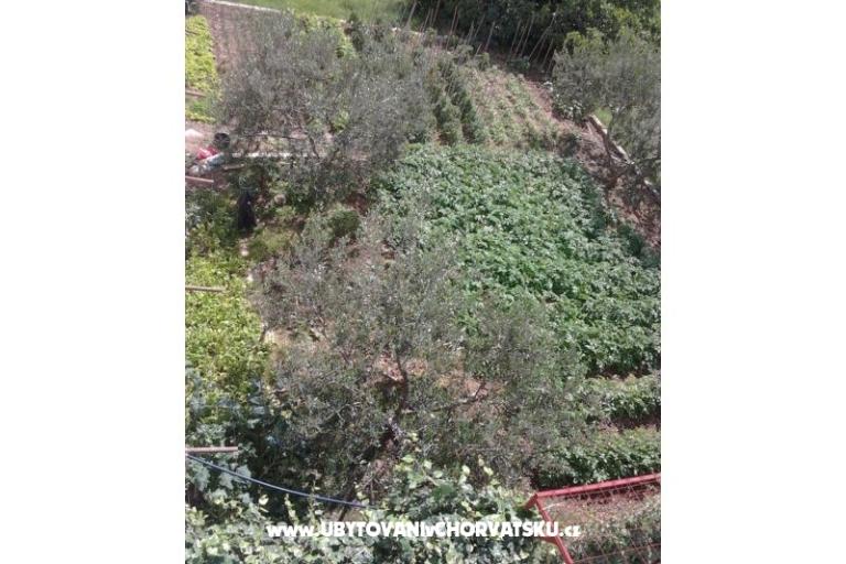 ADRIATIQ Apartmaji – foto 16