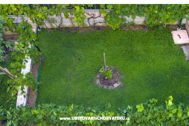 Apartma Anica – foto 17