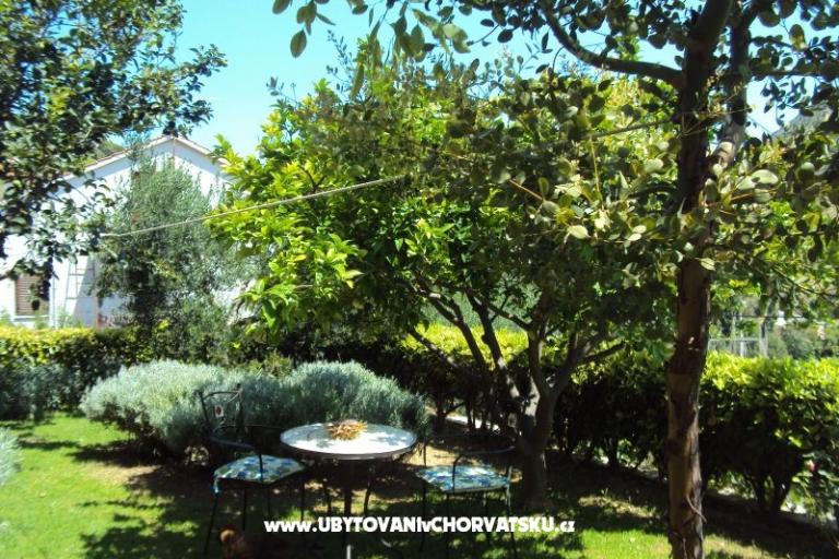 Apartma Gita – foto 12