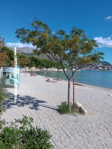 Apartma Jagoda – foto 7