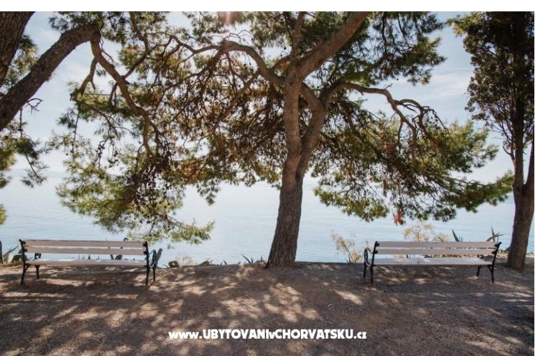 Apartma Mime – foto 22