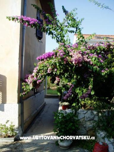 Apartma Nevica – foto 16