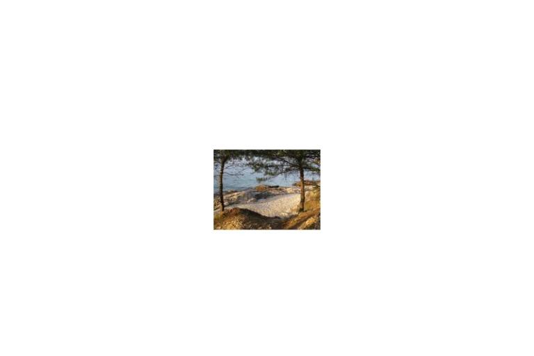 Apartmaji SILVA /                  – foto 15