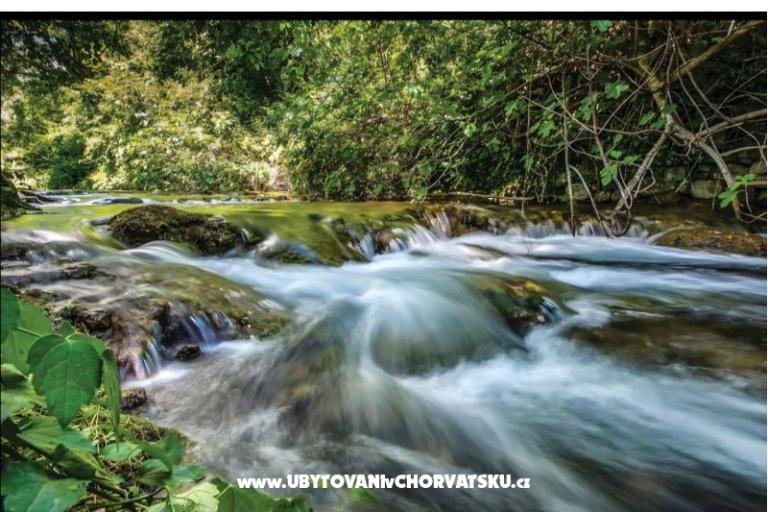 Green paradise  – foto 53