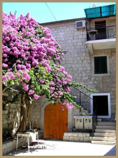 Stress Out Apartma – foto 2