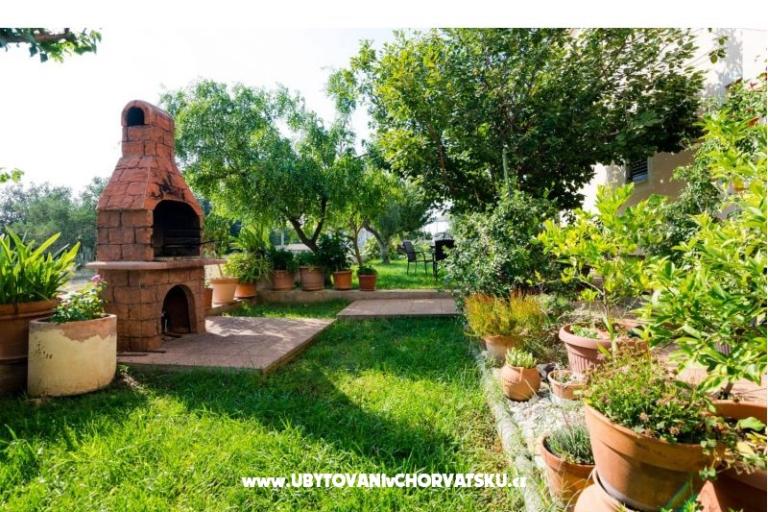 Apartma Dana – foto 6