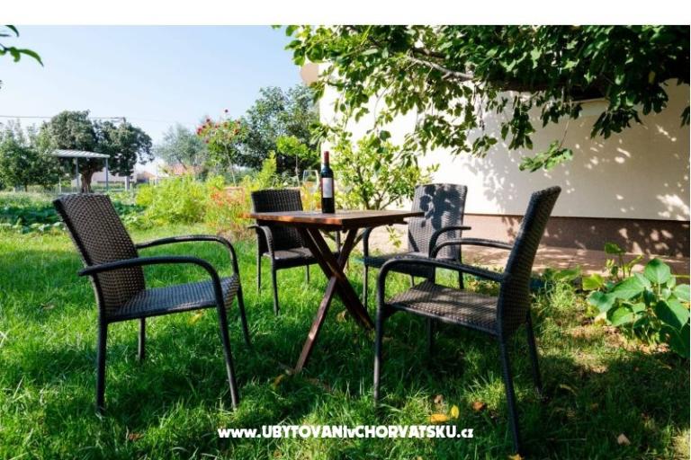 Apartma Dana – foto 9